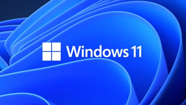 MS Windows 11 Professional ESD