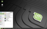 USB LinuxMint 19.x Live Stick Rettungs-/Notfallstick